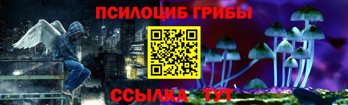 Псилоцибиновые грибы Cubensis  Вход с VPN  Заводоуковск 